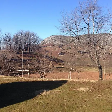 Semesterbostad Village *