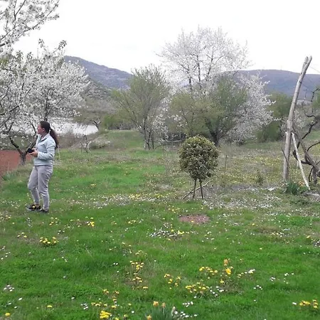 Village *